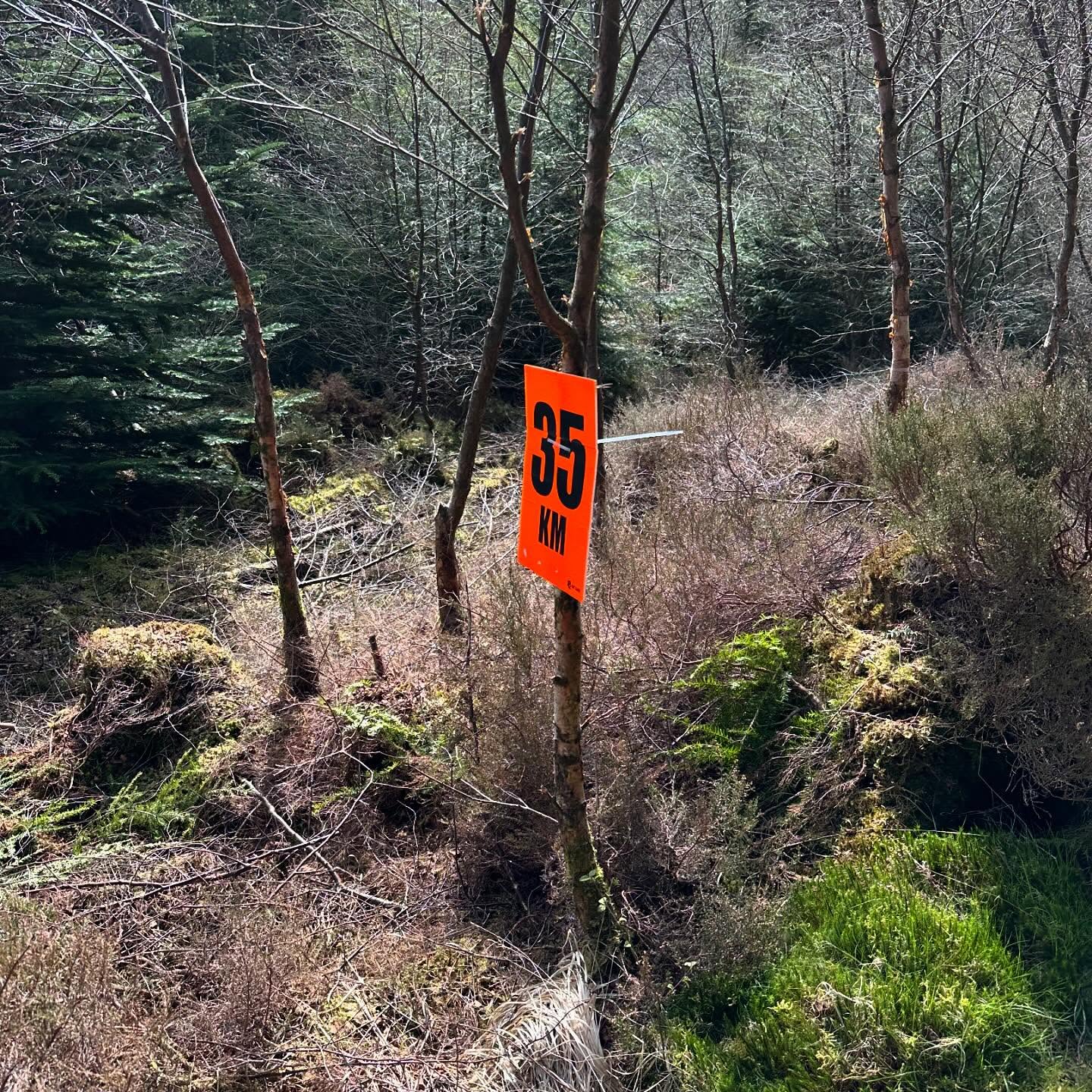 An orange 65 km race marker beside a woodland trail.