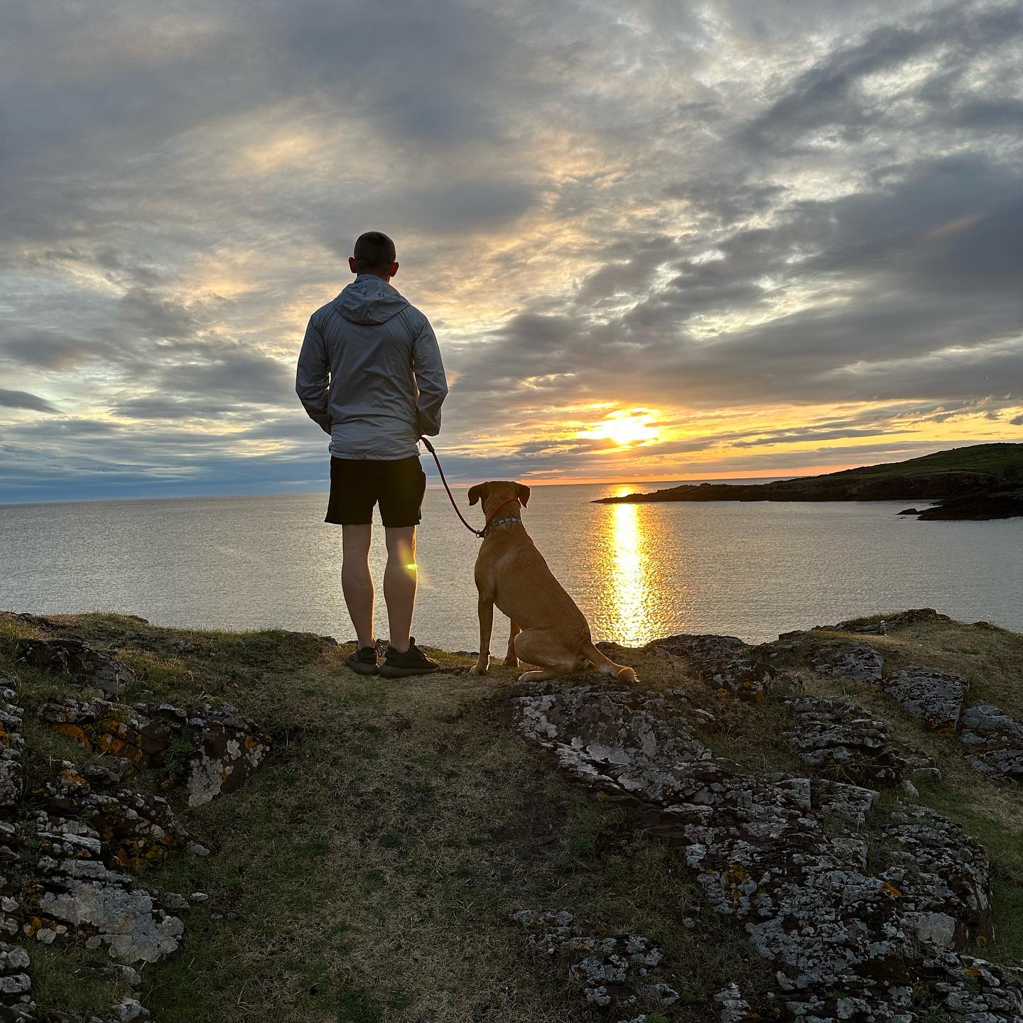 A person and dog looking out over the bay at sunset.