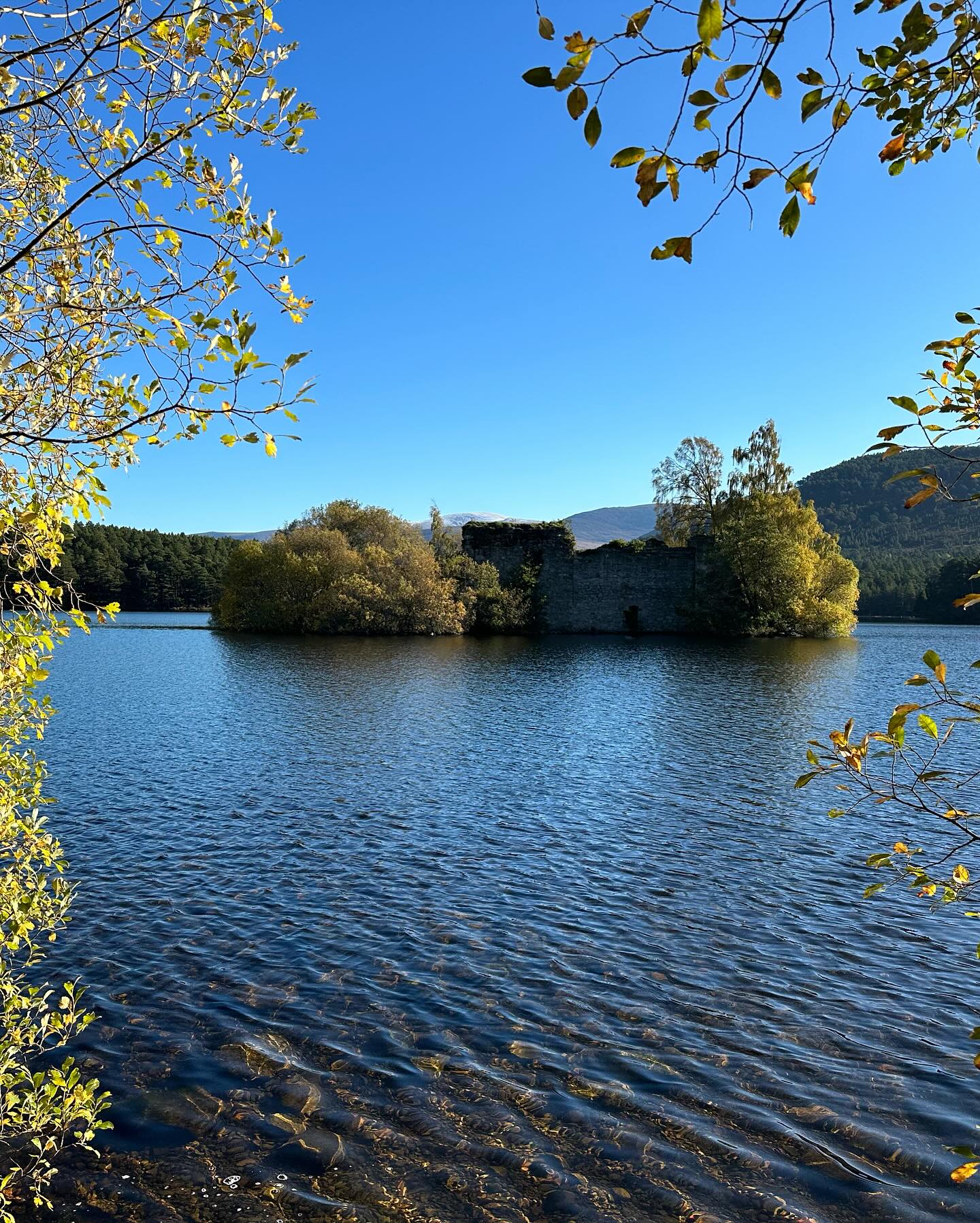 Castle ruins on a wooded island in Loch an Eilein, framed by shoreline trees.